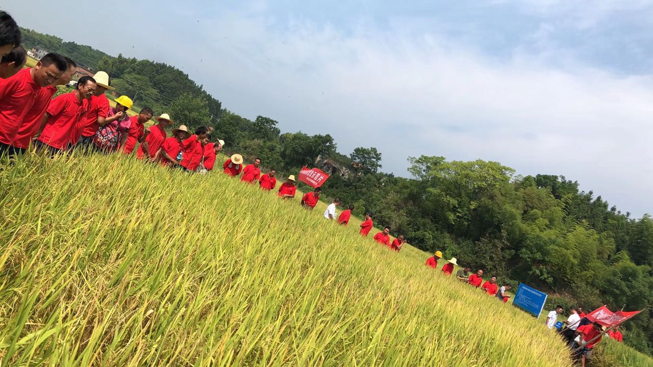 郴州市金土地化肥有限公司,湖南配方肥定點(diǎn)加工,林木肥銷售,有機(jī)肥質(zhì)量